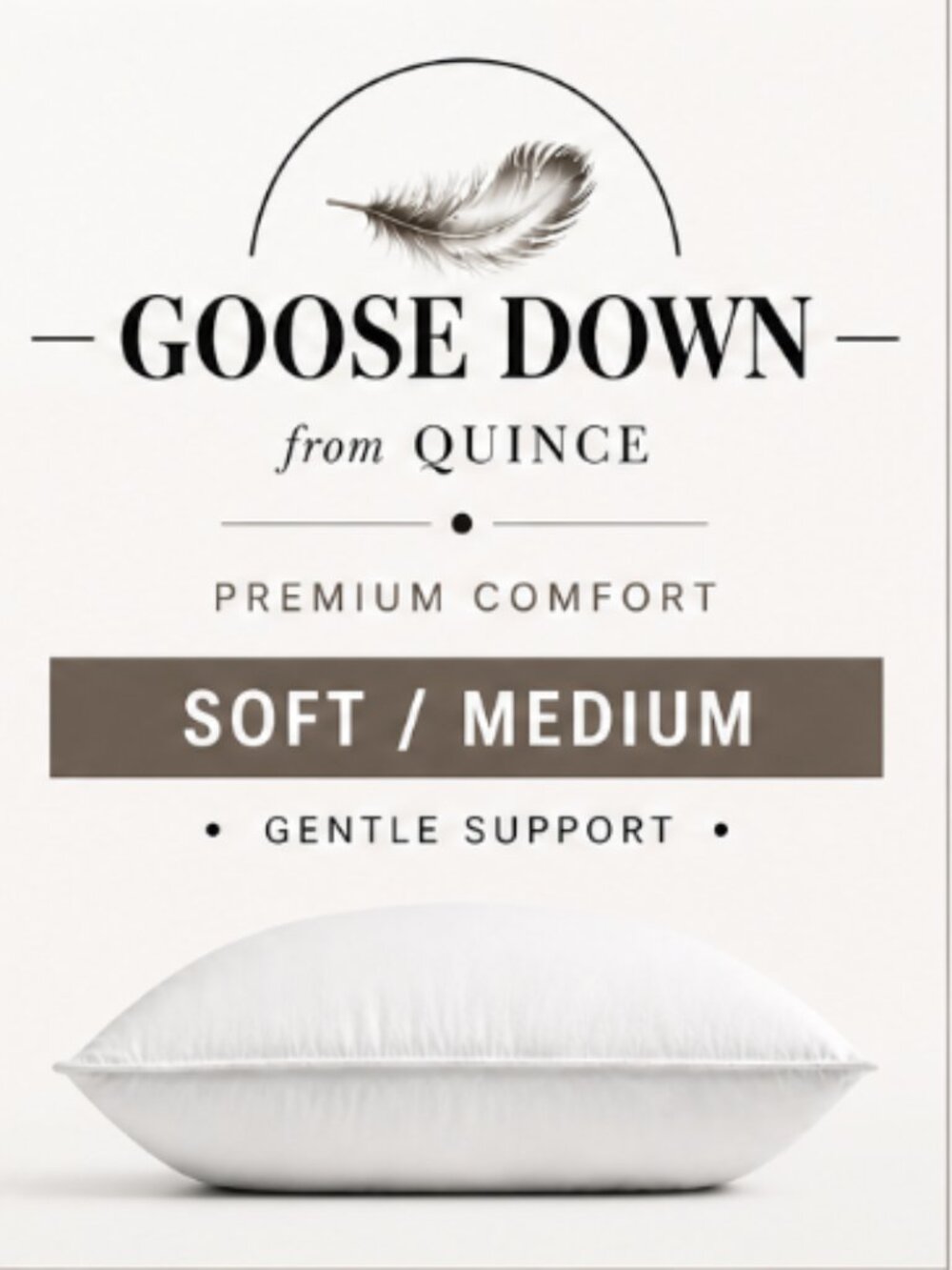 NWOT Quince King Luxe Goose Down Pillow Soft/Medium White Premium Down